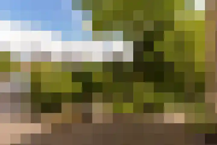 Boeier 29 Hoorn thumbnail 29