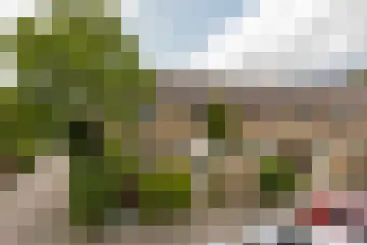Boeier 29 Hoorn thumbnail 30