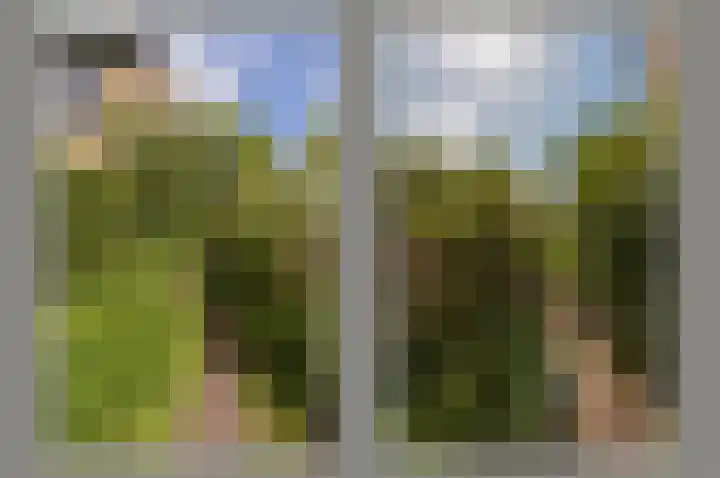 Boeier 29 Hoorn thumbnail 31