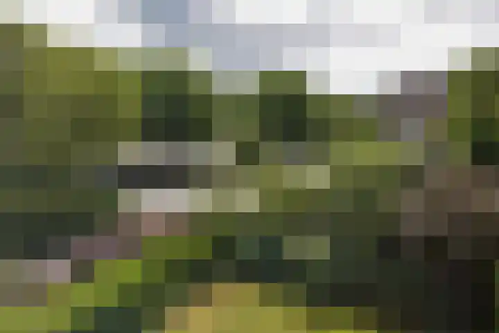 Boeier 29 Hoorn thumbnail 32