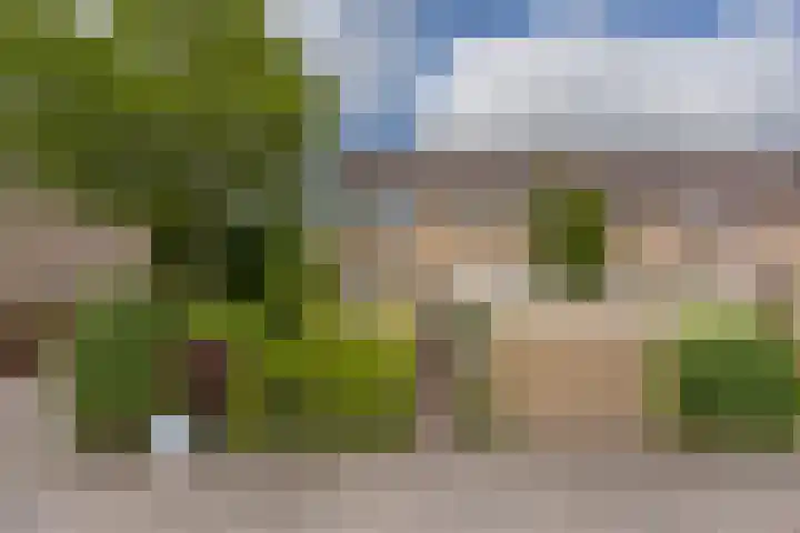 Boeier 29 Hoorn thumbnail 40