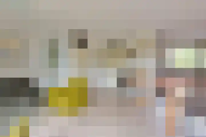 Boeier 29 Hoorn thumbnail 8