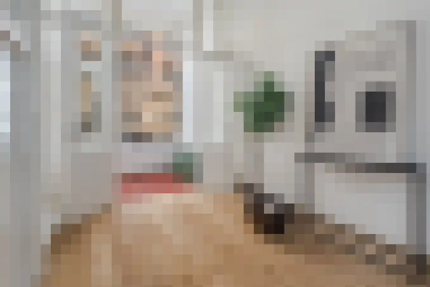 Boeier 29 Hoorn thumbnail 9
