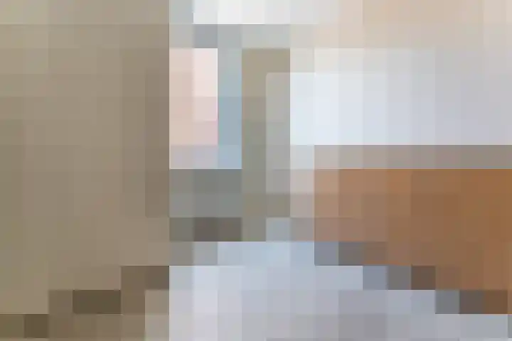 Boeier 32 Maassluis thumbnail 7