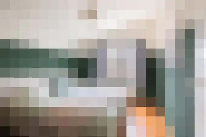 Boeier 9 Heerenveen thumbnail 30