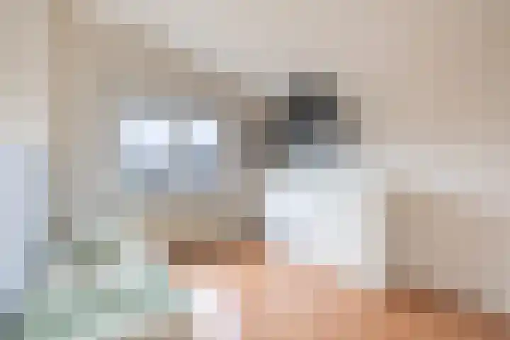 Boeier 9 Heerenveen thumbnail 33