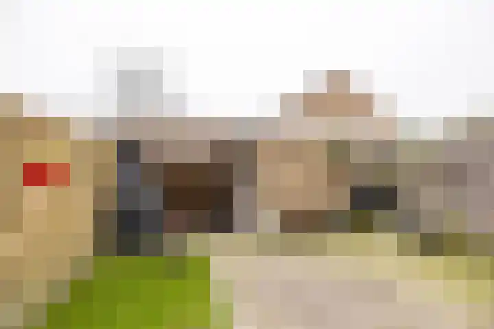 Boeier 9 Heerenveen thumbnail 41