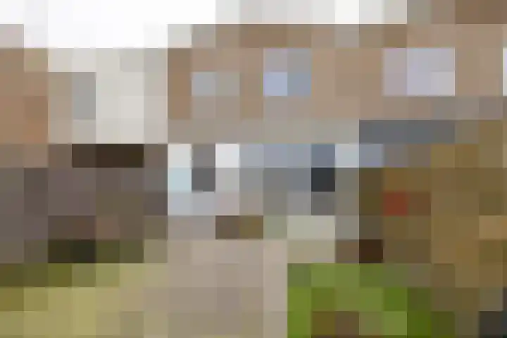 Boeier 9 Heerenveen thumbnail 42