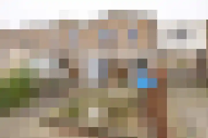 Boeier 9 Heerenveen thumbnail 7