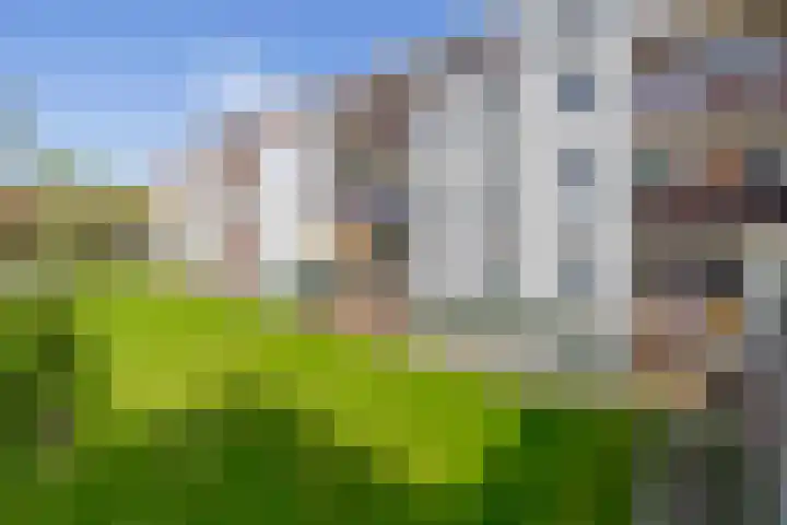 Boeierstraat 19 B Rotterdam thumbnail 34