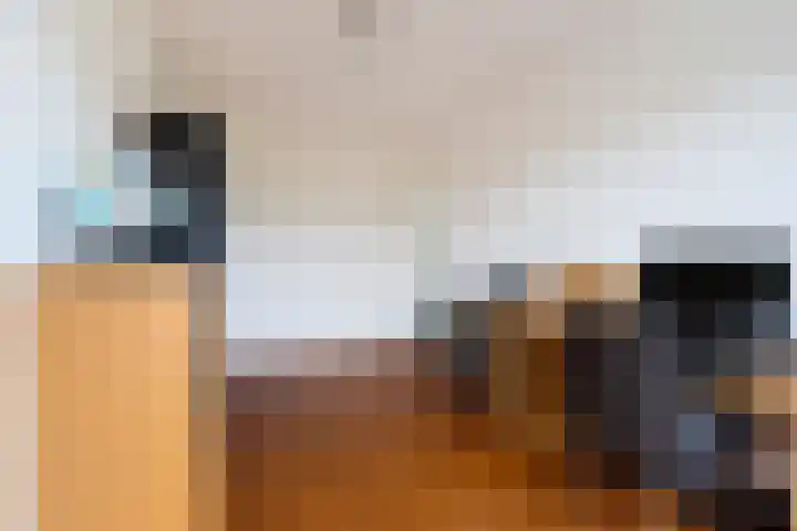 Boeimeerhof 46 Breda thumbnail 28