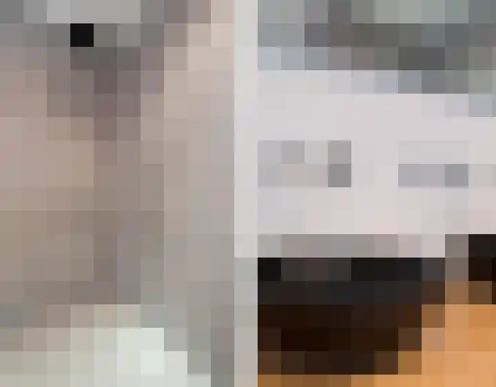 Boeimeerhof 46 Breda thumbnail 32
