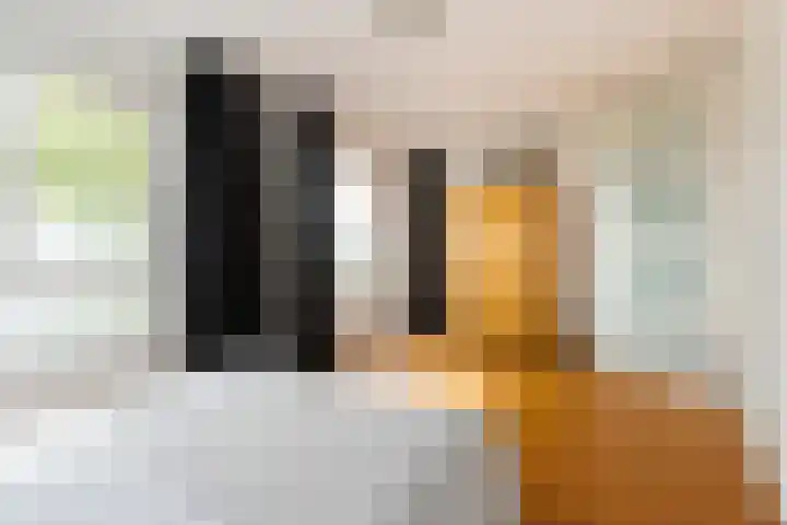 Boeimeerhof 46 Breda thumbnail 41