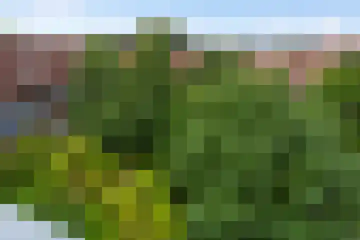 Boeimeerhof 46 Breda thumbnail 53