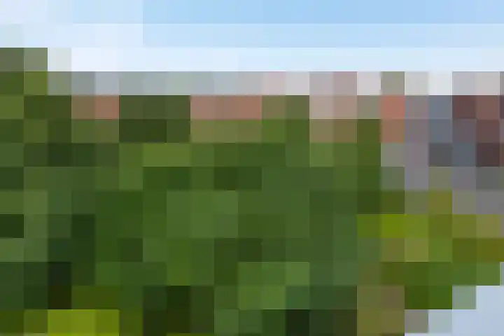 Boeimeerhof 46 Breda thumbnail 54