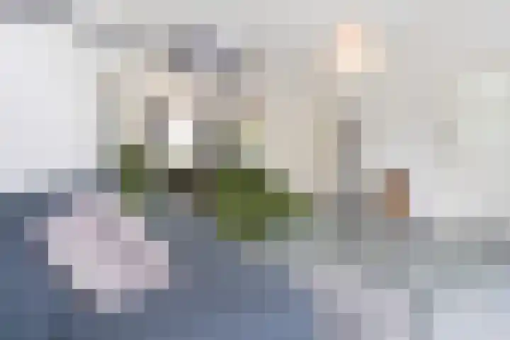 Boeimeerhof 46 Breda thumbnail 8