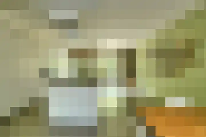Boeimeerhof 58 Breda thumbnail 13