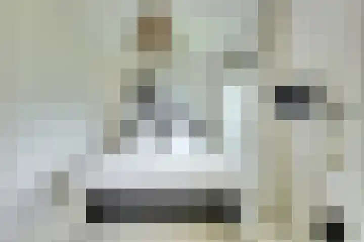 Boeimeerhof 58 Breda thumbnail 32