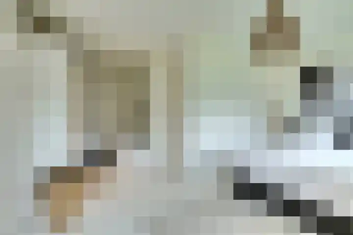 Boeimeerhof 58 Breda thumbnail 33