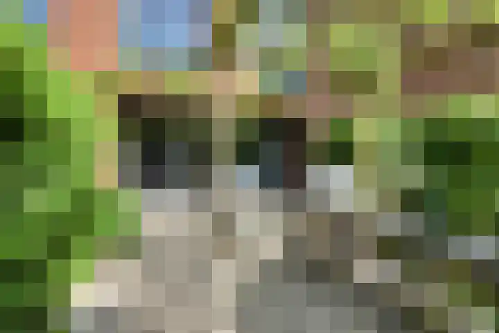 Boeimeerhof 58 Breda thumbnail 61
