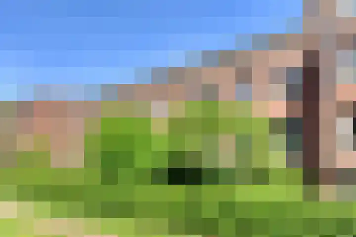 Boeimeerhof 58 Breda thumbnail 64