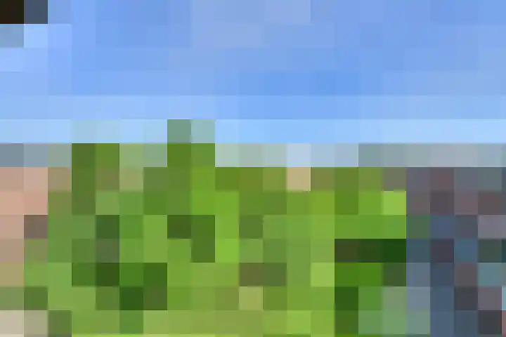 Boeimeerhof 58 Breda thumbnail 65