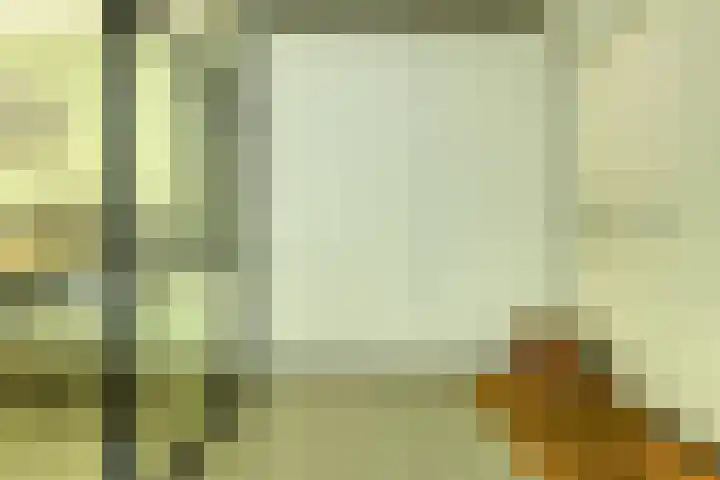 Boeimeerhof 58 Breda thumbnail 9