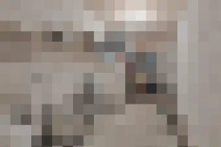 Boeimeerhof 88 Breda thumbnail 35