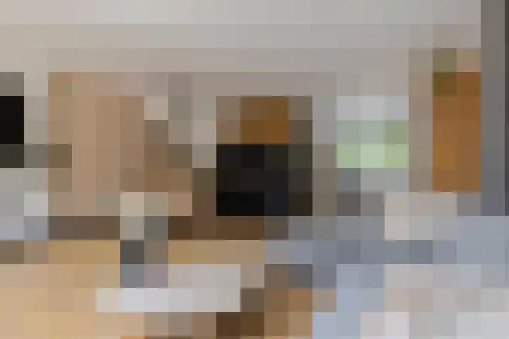 Boekbinderstraat 44 Purmerend thumbnail 17