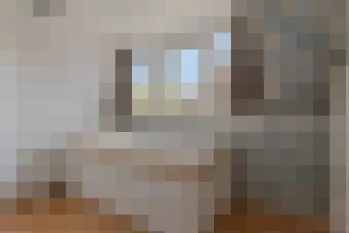 Boekbinderstraat 44 Purmerend thumbnail 33