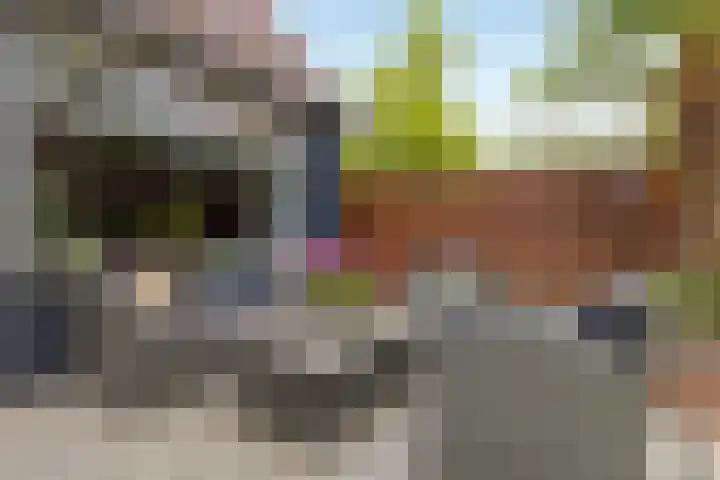 Boekbinderstraat 44 Purmerend thumbnail 35