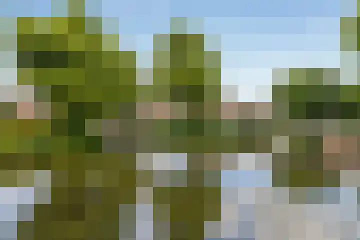 Boekbinderstraat 44 Purmerend thumbnail 5
