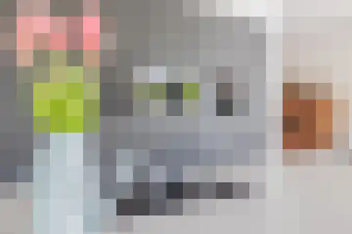 Boekebeamstrjitte 6 Lemmer thumbnail 21