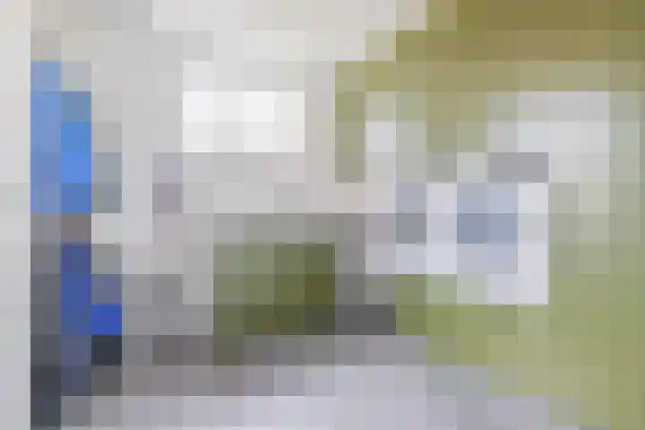 Boekebeamstrjitte 6 Lemmer thumbnail 22