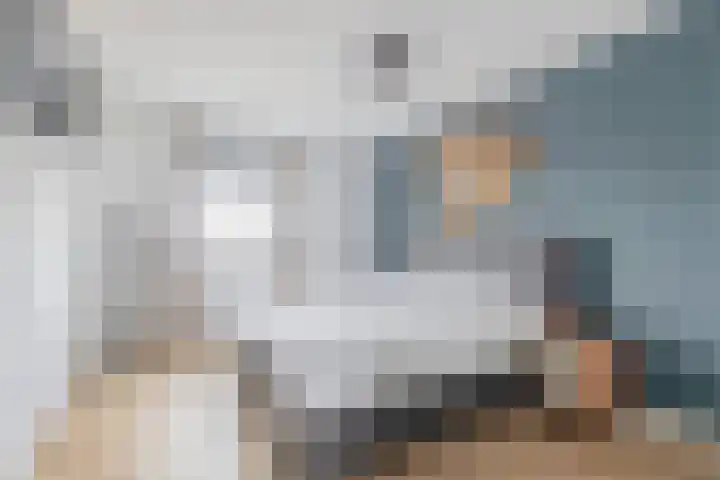 Boekebeamstrjitte 6 Lemmer thumbnail 31