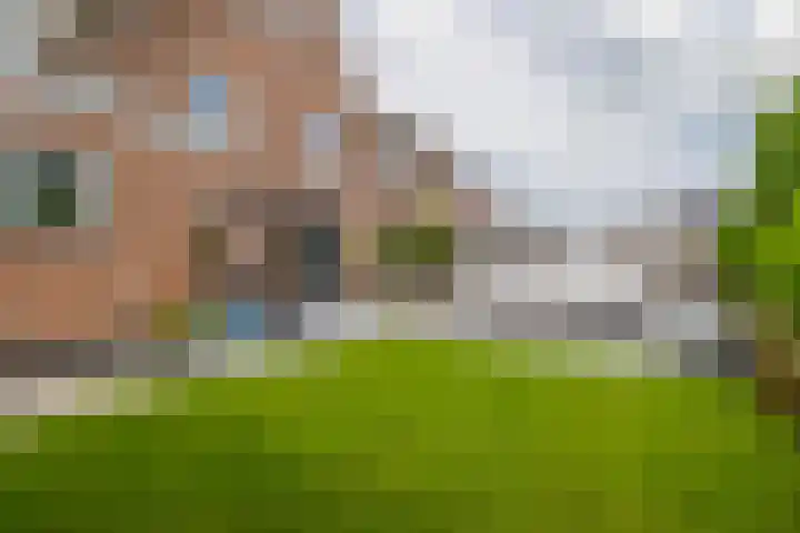 Boekebeamstrjitte 6 Lemmer thumbnail 41