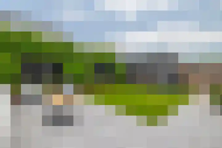 Boekebeamstrjitte 6 Lemmer thumbnail 45