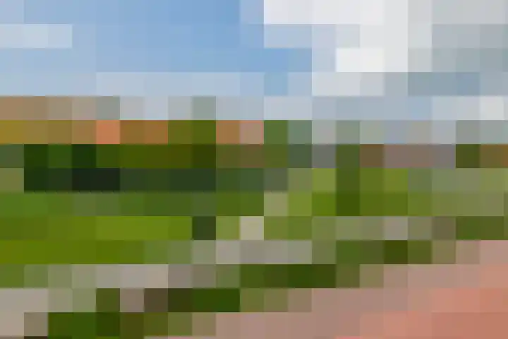 Boekebeamstrjitte 6 Lemmer thumbnail 50