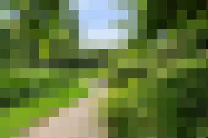 Boekelaan 111 Utrecht thumbnail 30