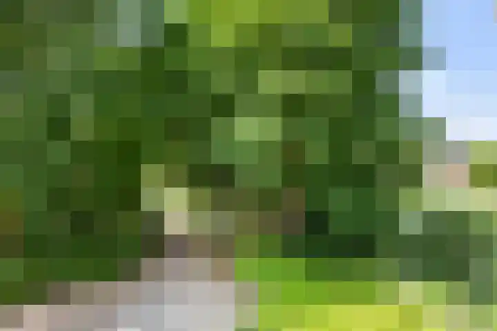 Boekelaan 111 Utrecht thumbnail 31
