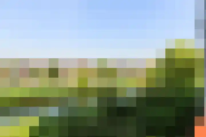 Boekelaan 111 Utrecht thumbnail 5