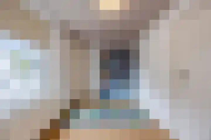 Boekelsedijk 5 Uden thumbnail 32