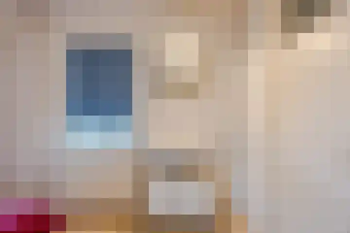 Boekelsedijk 5 Uden thumbnail 38
