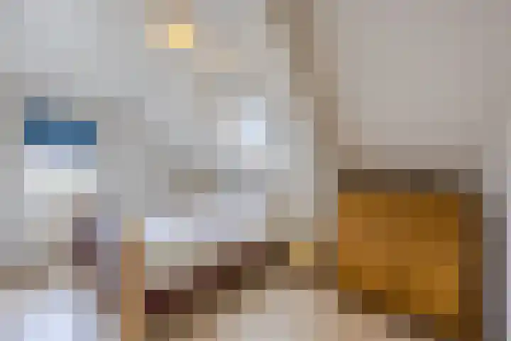 Boekelsedijk 5 Uden thumbnail 41
