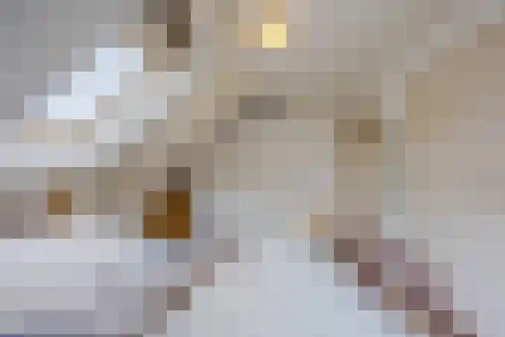 Boekelsedijk 5 Uden thumbnail 42