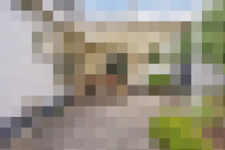 Boekelsedijk 5 Uden thumbnail 60