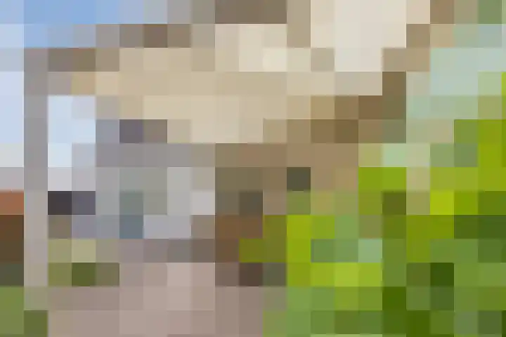 Boekelsedijk 5 Uden thumbnail 61