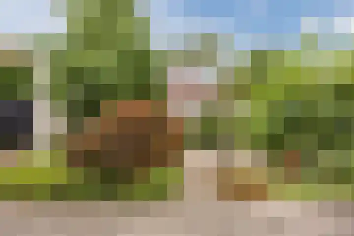 Boekelsedijk 5 Uden thumbnail 62