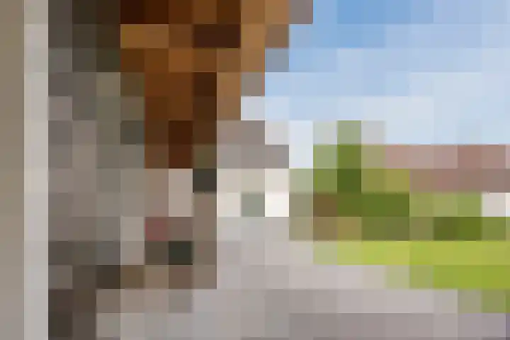 Boekelsedijk 5 Uden thumbnail 63