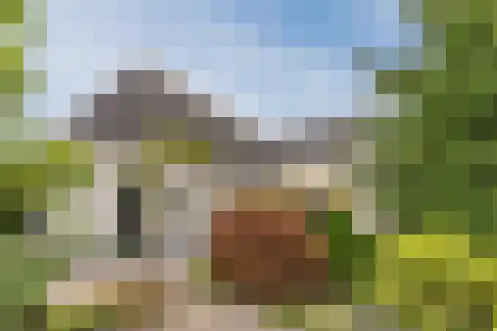 Boekelsedijk 5 Uden thumbnail 64